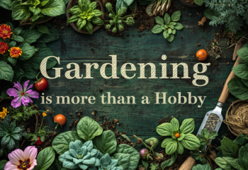 Gardening Is More Than a Hobby