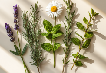 5 Easy Herbs Women Can Grow for Wellness Support